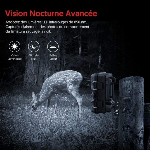 Bedacamstore-Caméra de chasse 20MP 1080P 130° ETANCHE IP66-150,16 € Livraison gratuite