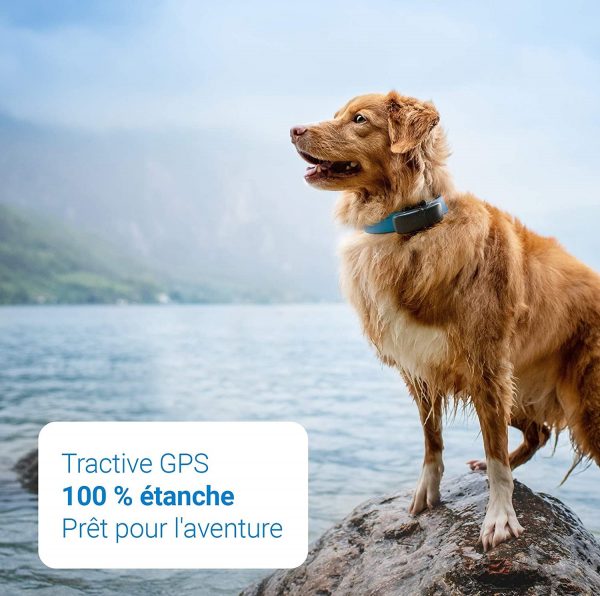 Bedacamstore-Collier GPS pour chien, Étanche, Léger-79,37 € Livraison gratuite
