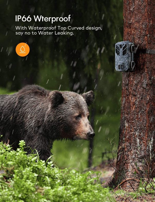 Bedacamstore-Caméra de Chasse 30MP 4K avec Vision Nocturne, Etanchéité IP66-185,49 € Livraison gratuite