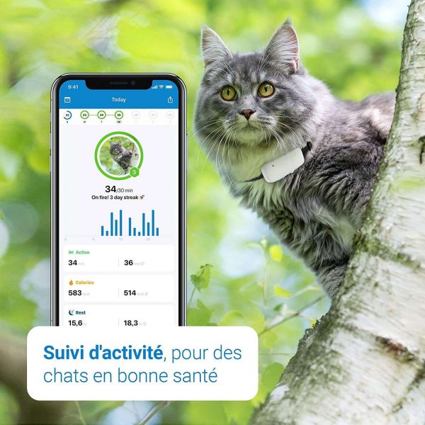 Bedacamstore-Collier GPS pour chat avec portée illimitée-83,55 € Livraison gratuite