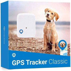 Traceur gps animaux