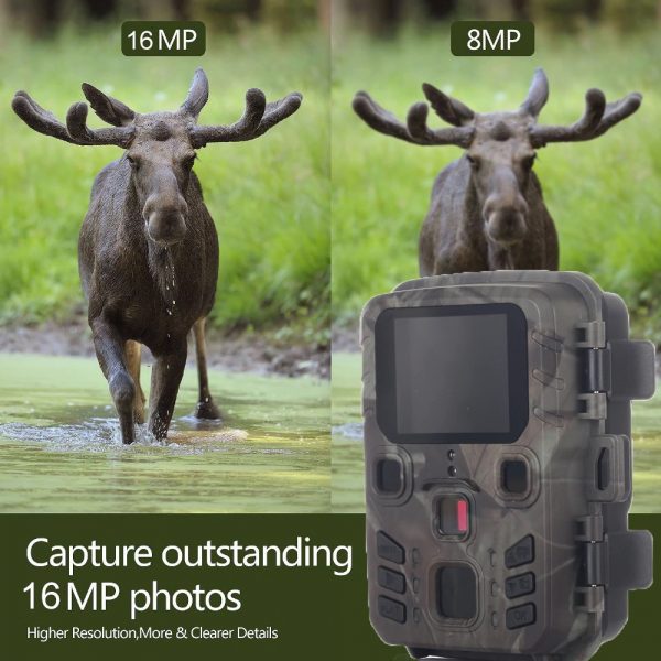 Bedacamstore-Mini caméra de chasse Infrarouge 16MP-70,66 € Livraison gratuite